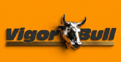 VigorBull